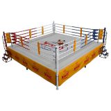 Профессиональный боксерский ринг 5x5 Windy (BR55)