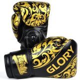 Боксерские перчатки Fairtex Glory BGVG2
