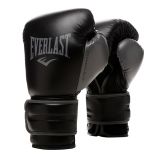 Боксерские перчатки Everlast Powerlock PU 2