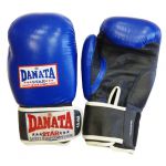 Боксерские перчатки Danata Star Dan Hill