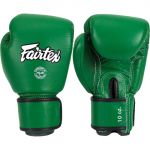 Боксерские перчатки Fairtex Green Forest BGV16