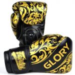 Боксерские перчатки Fairtex Kickboxing Glory BGVG2